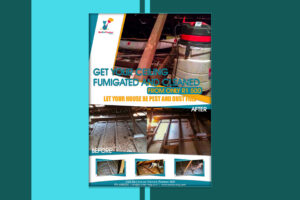 Free Business Flyer Templates Flyer Printing Custom Business Flyers