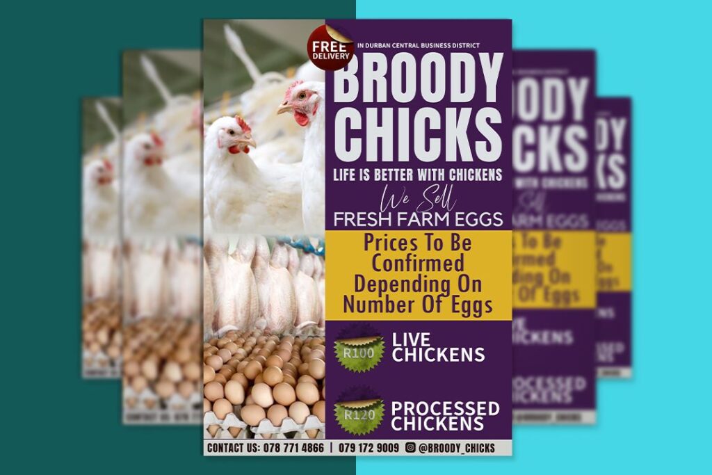 Free Flyer Design + 4K Videos + Business Plan Template Poultry Farming Business
