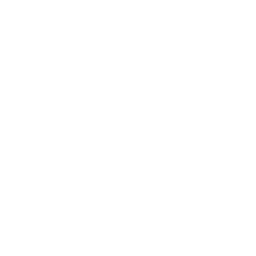 Mama Bear Boarding House